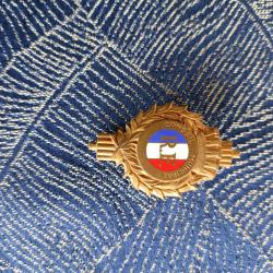 Insigne broche conseil municipal