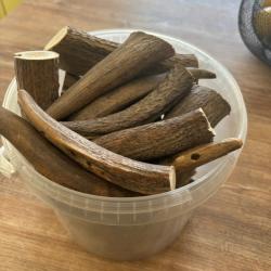 Morceaux de bois de cerf