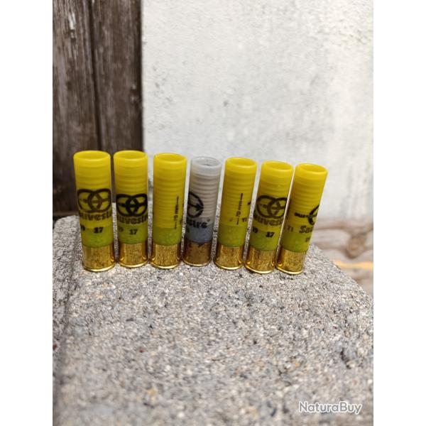 Lot balle sauvestre calibre 20