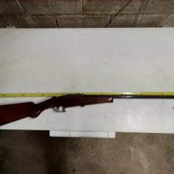 carabine 12 mm warnant