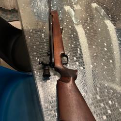 Carabine à plomb