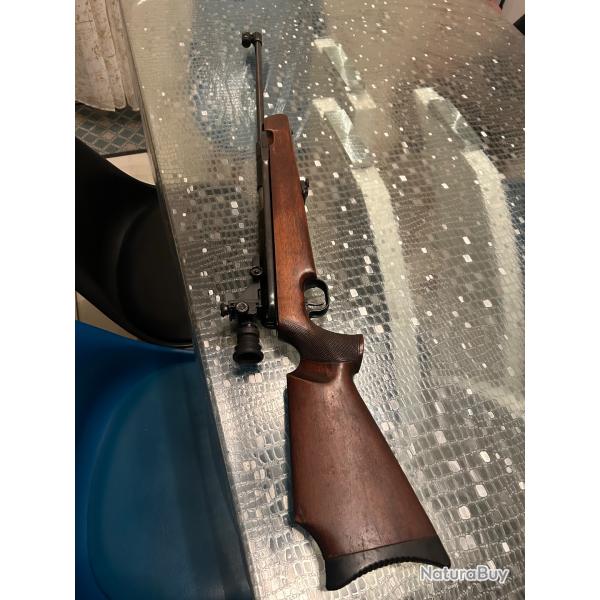 Carabine  plomb