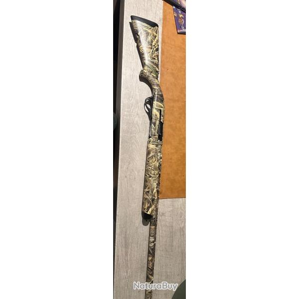 Franchi intensity