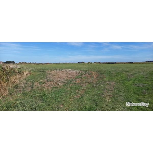 marais de chasse  vendre