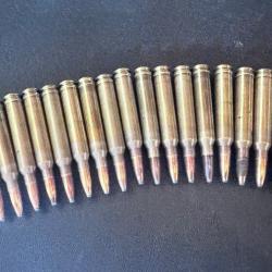 Balles Geco Soft Point 300 Win Mag