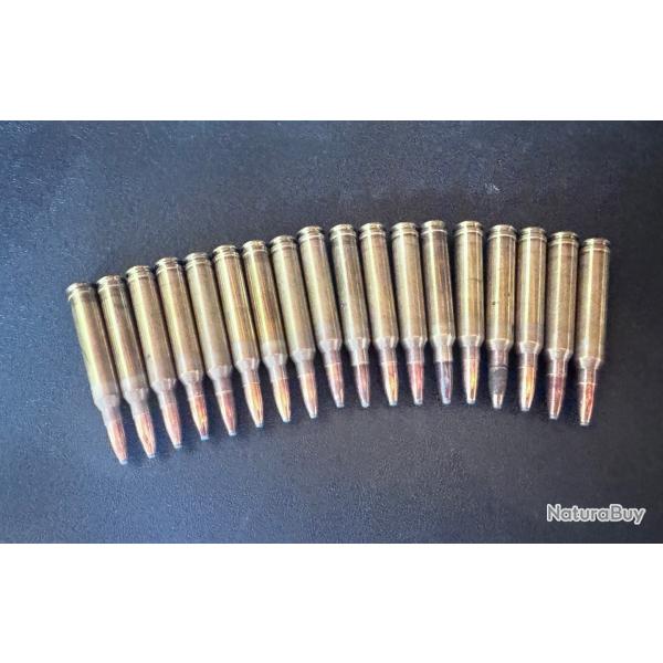 Balles Geco Soft Point 300 Win Mag