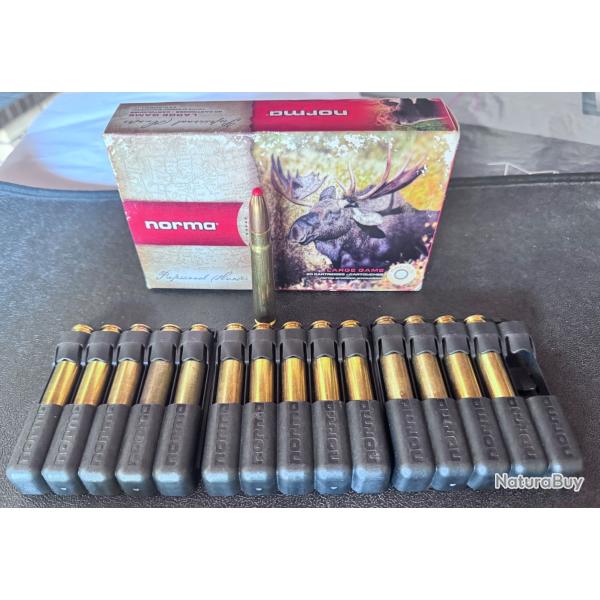 Balles Norma Plastic Point calibre 9,3x62