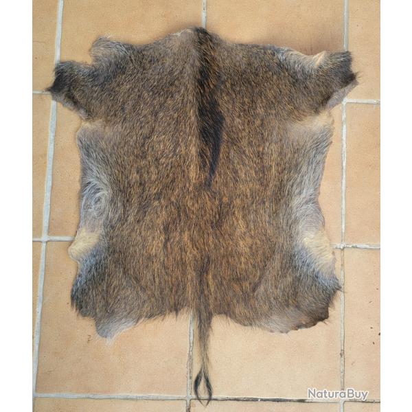 Peau de sanglier