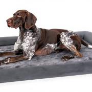 Panier Pour Chien Orthopédique à Mémoire De Forme – Coussin Confort Bord Relevé – Lavable – Antidérapant – Tailles M à XL
