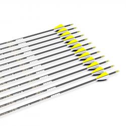 Fleches Carbone Sanlida Hero Classique - 750 / 008