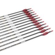 Lot de 12 flèches en carbone longueur personnalisée pour arc composé de 6,8 à 36