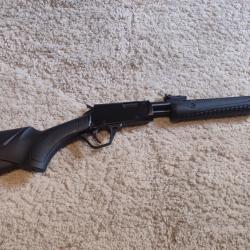 ROSSI GALLERY 22LR
