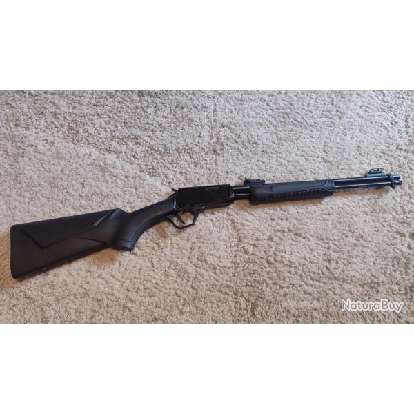 ROSSI GALLERY 22LR
