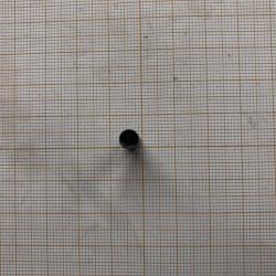 Diana 35: Petit rivet de longueur 1.9 cm