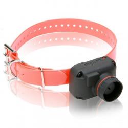 COLLIER DE REPÉRAGE SPORTDOG DOGTRA STB BEEP H - SON AIGU
