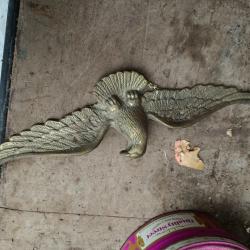 Décoration murale aigle