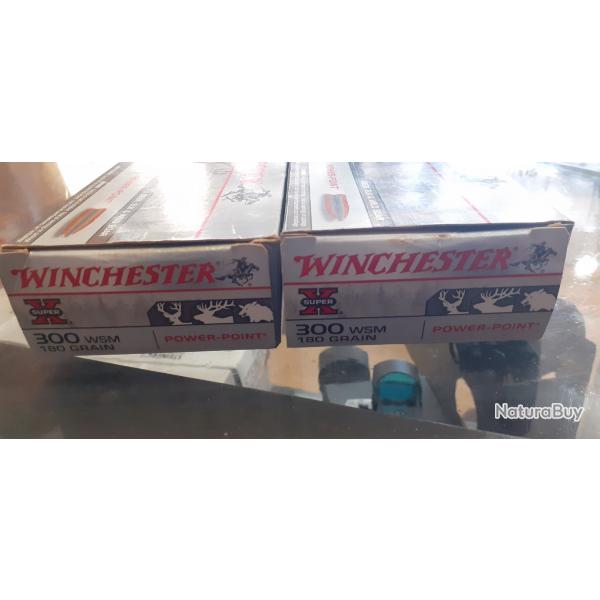 Lot de 2 boites de 20 munitions winchester power point calibre 300wsm