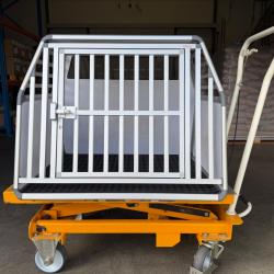 Caisse de transport de marque BRAVEUR
