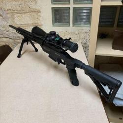 Savage 10 Ashbury Précision 308 win, avec lunette et accessoires