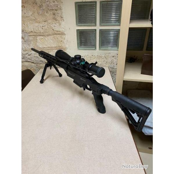 Savage 10 Ashbury Prcision 308 win, avec lunette et accessoires