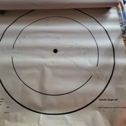 50 Anciennes grande cibles originales années 1973 en papier 90x90 cm