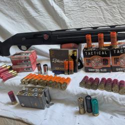 Fusil cal 12/76 Stoeger M3000 + lot cartouches