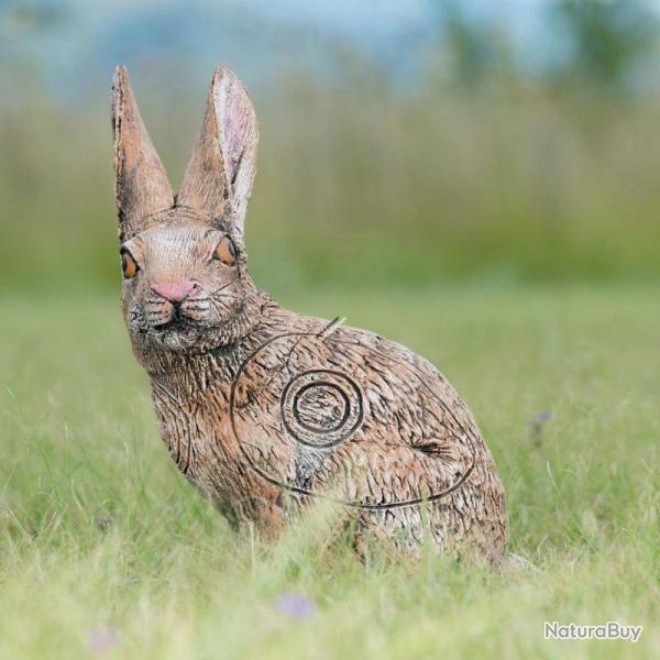 Cible 3D Wildcrete Rabbit Cotton Tail