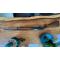 petites annonces chasse pêche : vente BENELLI 121 S_ 80 excellent etat