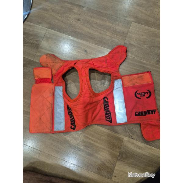 Gilet protection chien protect eco