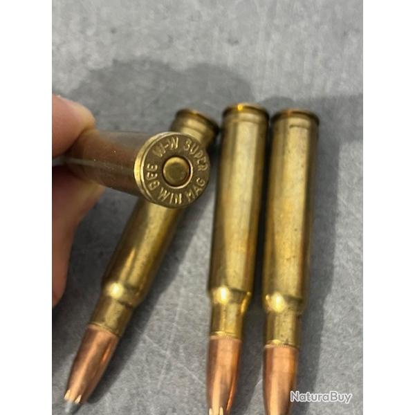 4 munitions 338 Win mag power point  1