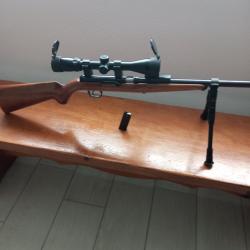 carabine gevarms 22 lr semi automatiques
