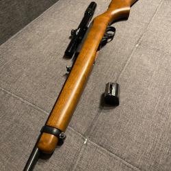 Carabine Ruger 10/22 + lunette bushnell