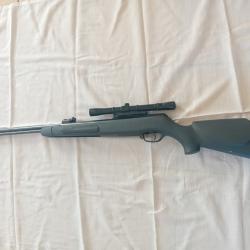Carabine à plomb Gamo CFX avec lunette