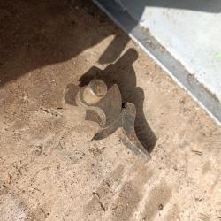 Chien remington rolling block