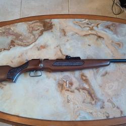 Jolie carabine 22LR Manu Arm