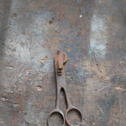 coupe douille