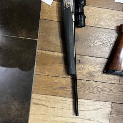 Carabine semi  auto 308w