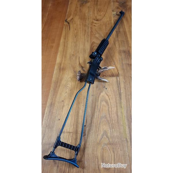 Carabine CHIAPPA cal.22LR