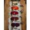petites annonces chasse pêche : Kit pilla panther 5 masques état neuf