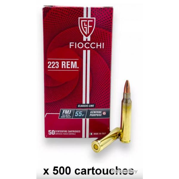 FIOCCHI cal.223 Rem FMJ 55gr /500