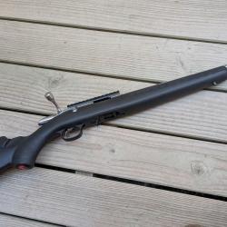 Carabine Ruger American Rimfire Cal.22lr canon 46cm filete 1/2-28" noire 10cps