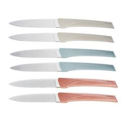 Coffret 6 couteaux de table Florinox "Kiana" manches assortis KIA6.AS