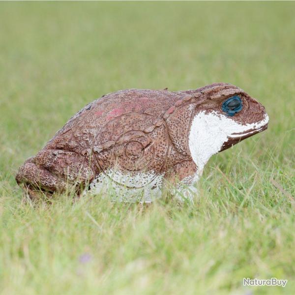 Cible 3D Wildcrete Cane Toad