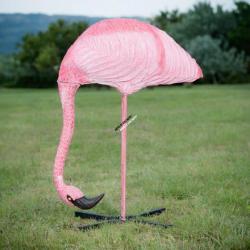 Cible 3D Wildcrete Flamingo - Feeding