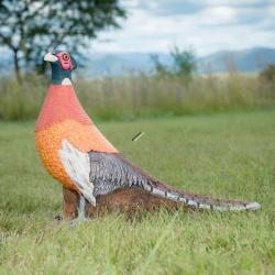 Cible 3D Wildcrete Pheasant