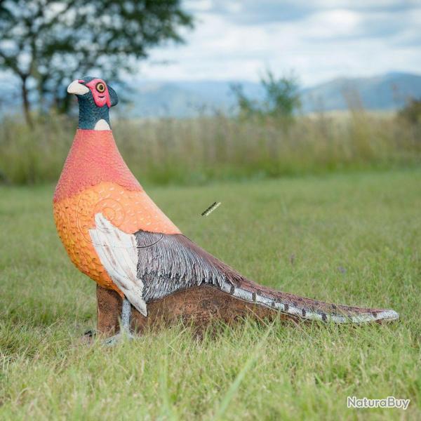 Cible 3D Wildcrete Pheasant