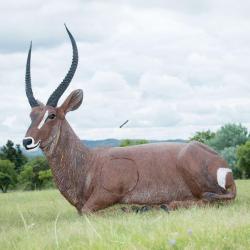 Cible 3D Wildcrete Waterbuck