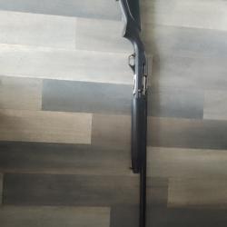Baïkal mp 153