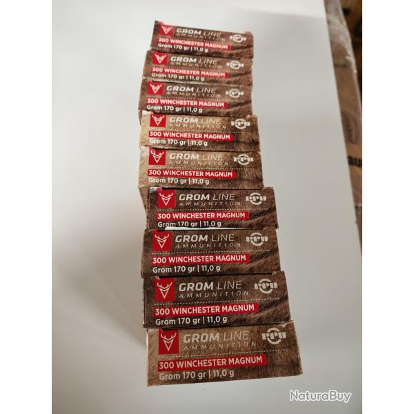 180 munitions 300 Winchester Magnum PPU PARTIZAN GROM 170 grains