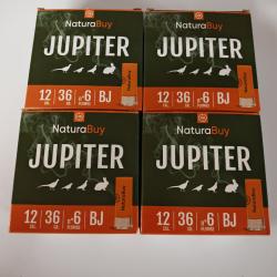 100 munitions NaturaBuy 12/70 36gr BJ n°6